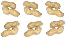 Erdnüsse-6x2.jpg